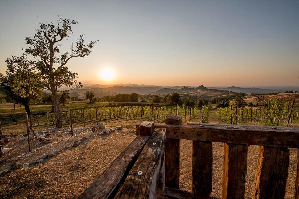 Fattoria Branciana Bed & Breakfast Rossena Exterior photo